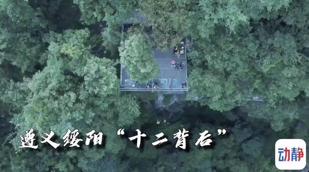 救援可爱小松鼠